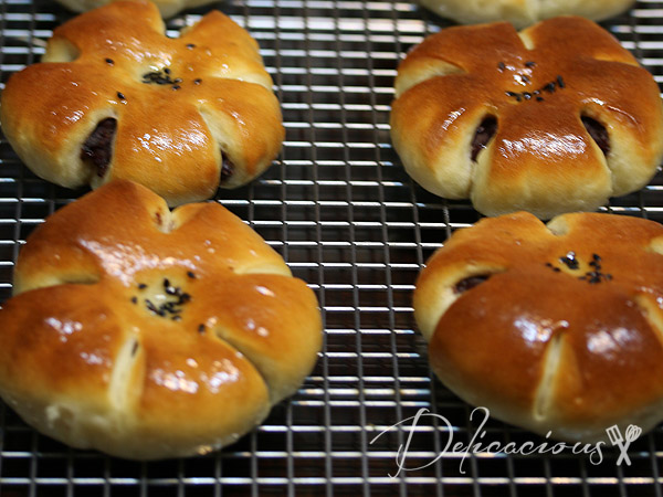 Red Bean Anpan Bun